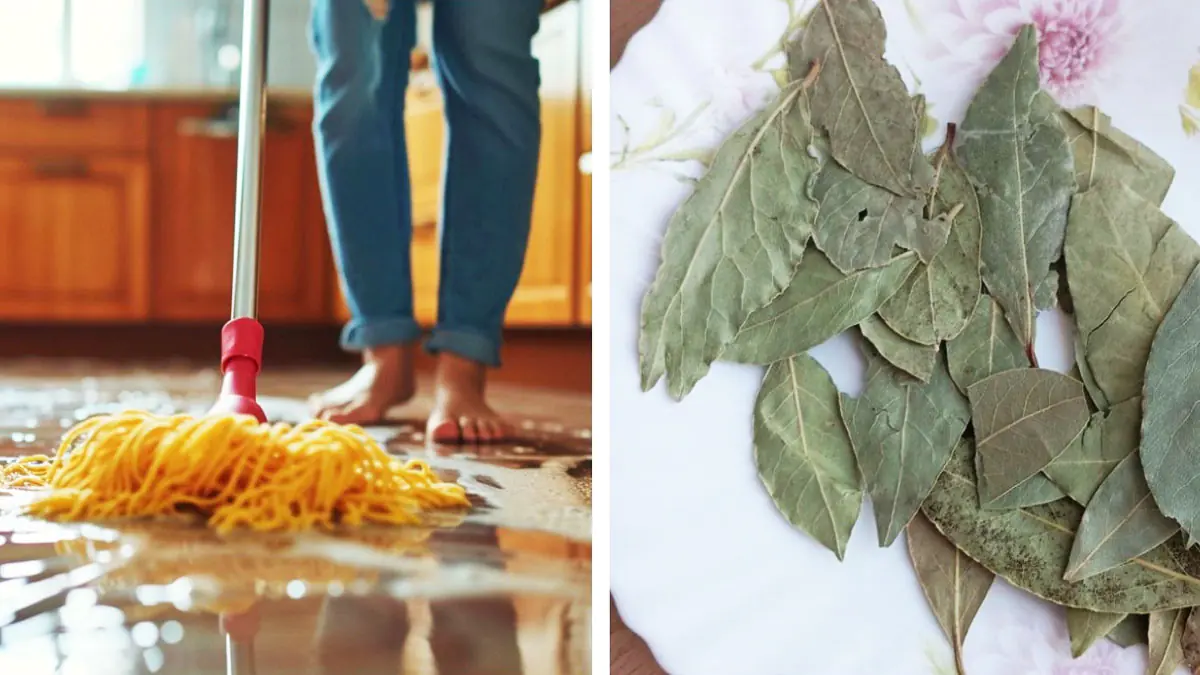 Zaparím pár lístků a uklízím dům. Domácí roztok si s prachem poradí na jedničku