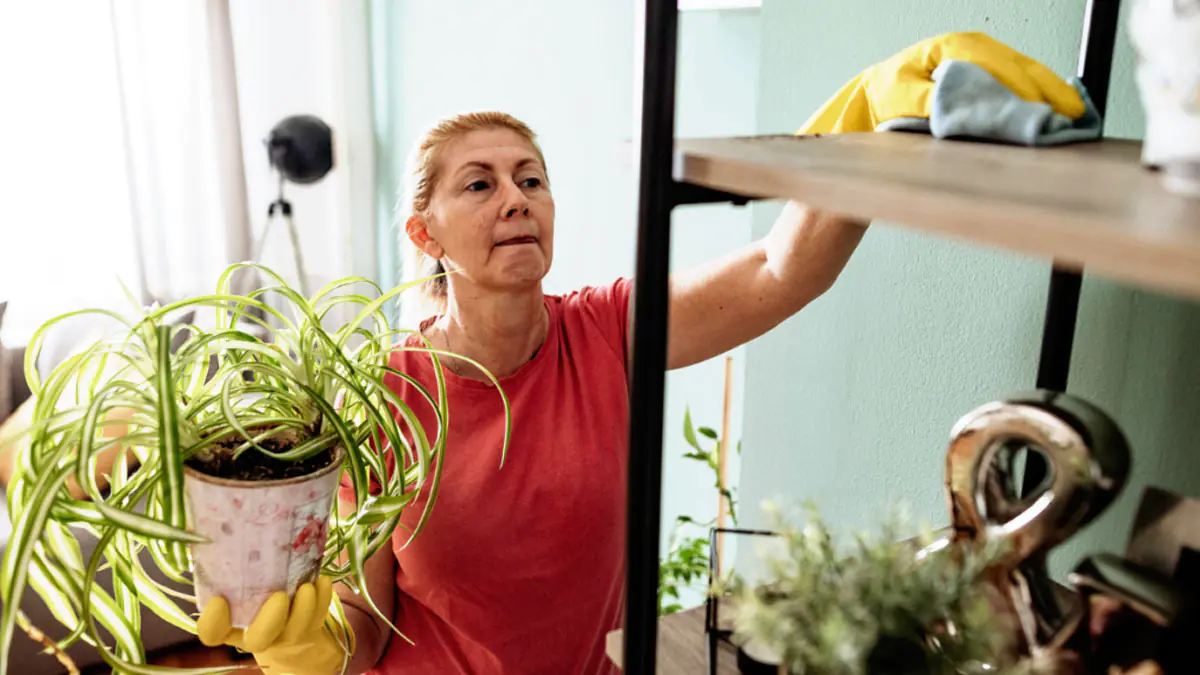 Proto v japonských domácnostech není prach – metoda je překvapivě jednoduchá