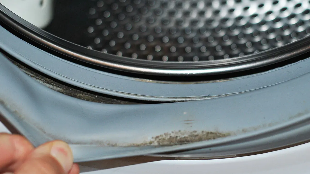 Mnozí nechávají dvířka pračky po praní otevřená: může to způsobit problémy