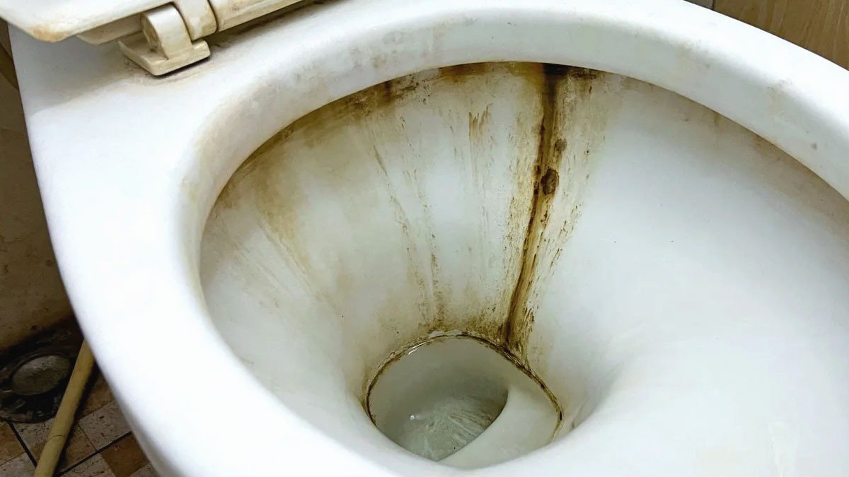 Mycí prostředek na nádobí v toaletě proti nečistotám: jak účinný je při čištění 2 Mycí prostředek na nádobí v toaletě proti nečistotám: jak účinný je při čištění