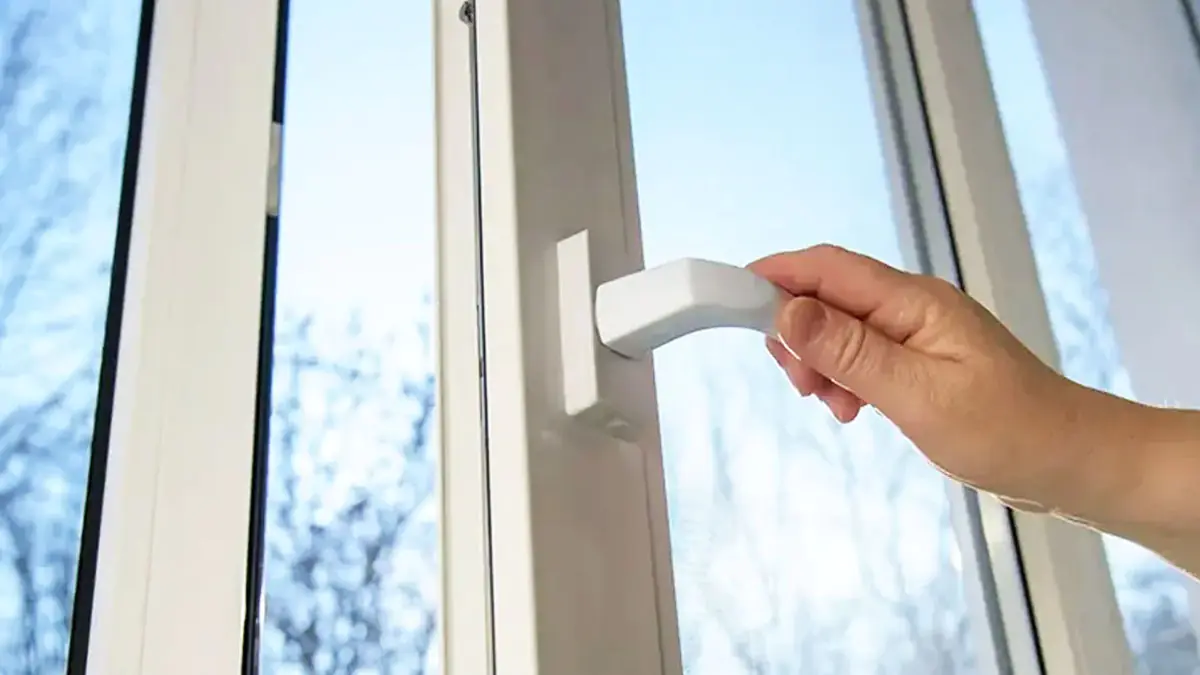 Odstraňte plíseň ze stěn bez bělidla: konečná metoda