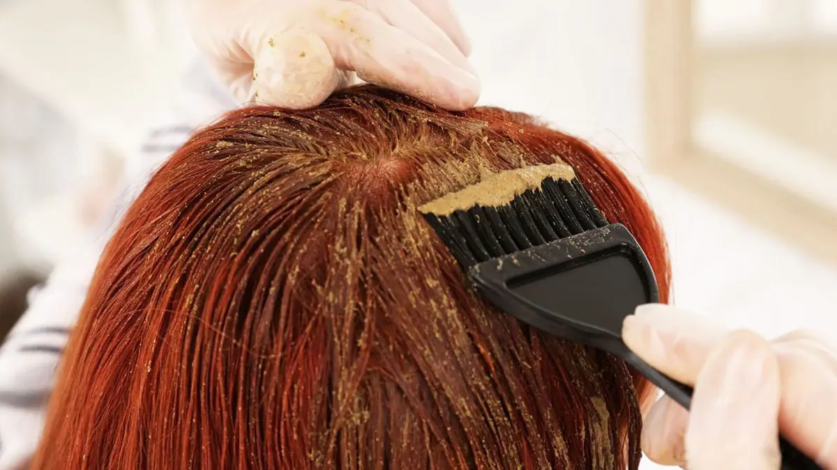 Nevyhazujte růži z Valentýna: usušené okvětní lístky proměňte v přírodní barvu na šedivé vlasy