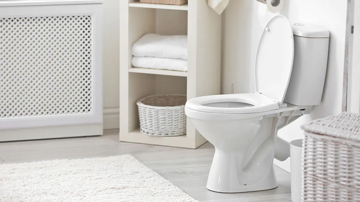 Konec chemie v toaletě: recept na WC blok ze 4 ingrediencí usnadní udržování čistoty