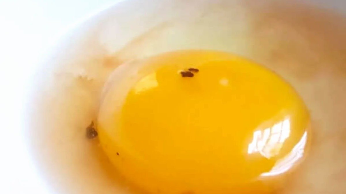 Hnědá skvrna na žloutku – lze takové vejce jíst