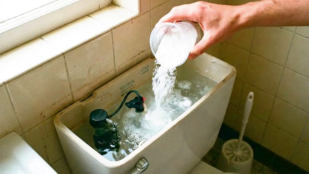 I po úklidu se v koupelně objevuje zápach: přidání „tohoto prášku“ do nádržky toalety vše vyřeší