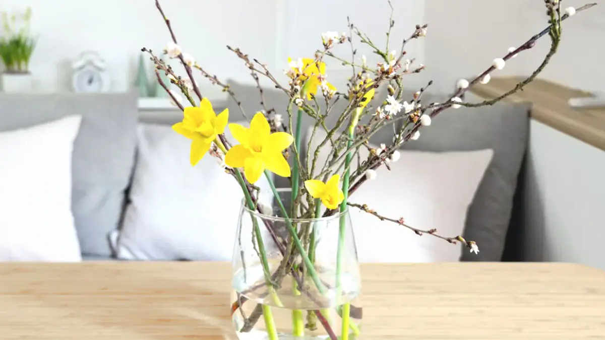 Dekorační trendy na jaro 2026