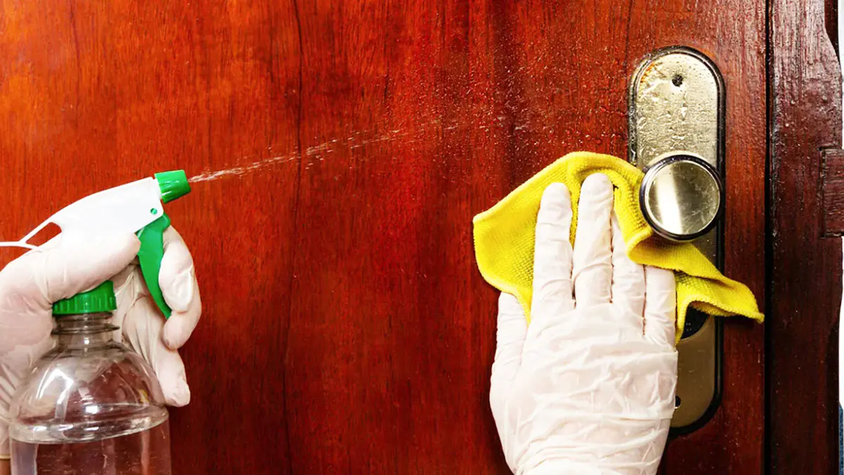 Proč se doporučuje polévat vchodové dveře octem a k čemu to slouží