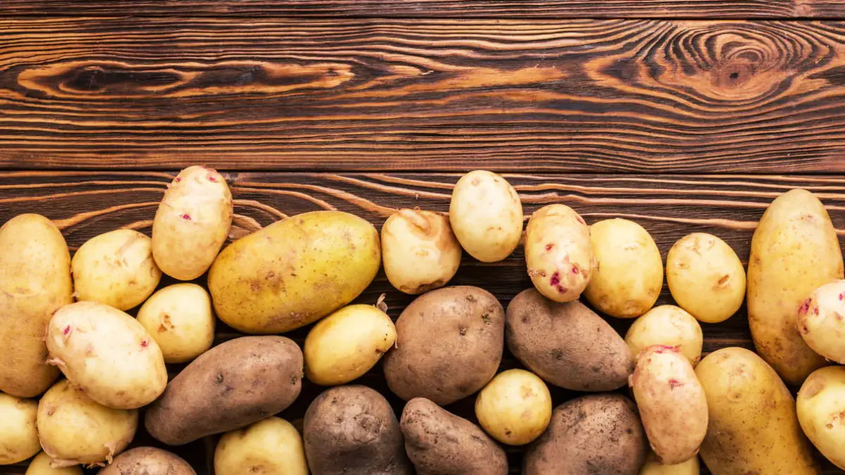 Křupavé hranolky z horkovzdušné fritézy: 3 tipy pro dokonalou přípravu