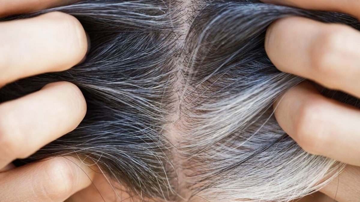 Nezáleží na tom, kolikrát si barvím vlasy, šedivé vlasy stále rostou. Našla jsem řešení! Je to jednoduchý účes 1 Nezáleží na tom, kolikrát si barvím vlasy, šedivé vlasy stále rostou. Našla jsem řešení! Je to jednoduchý účes