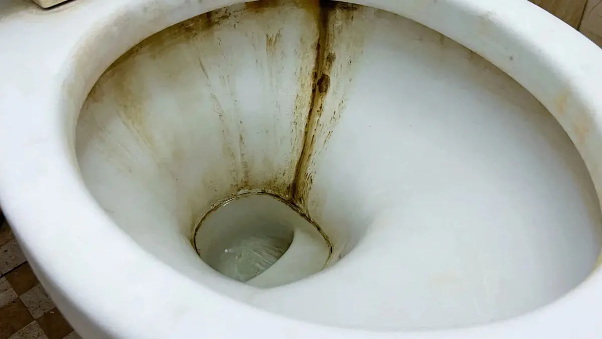 84587653576979769476979479