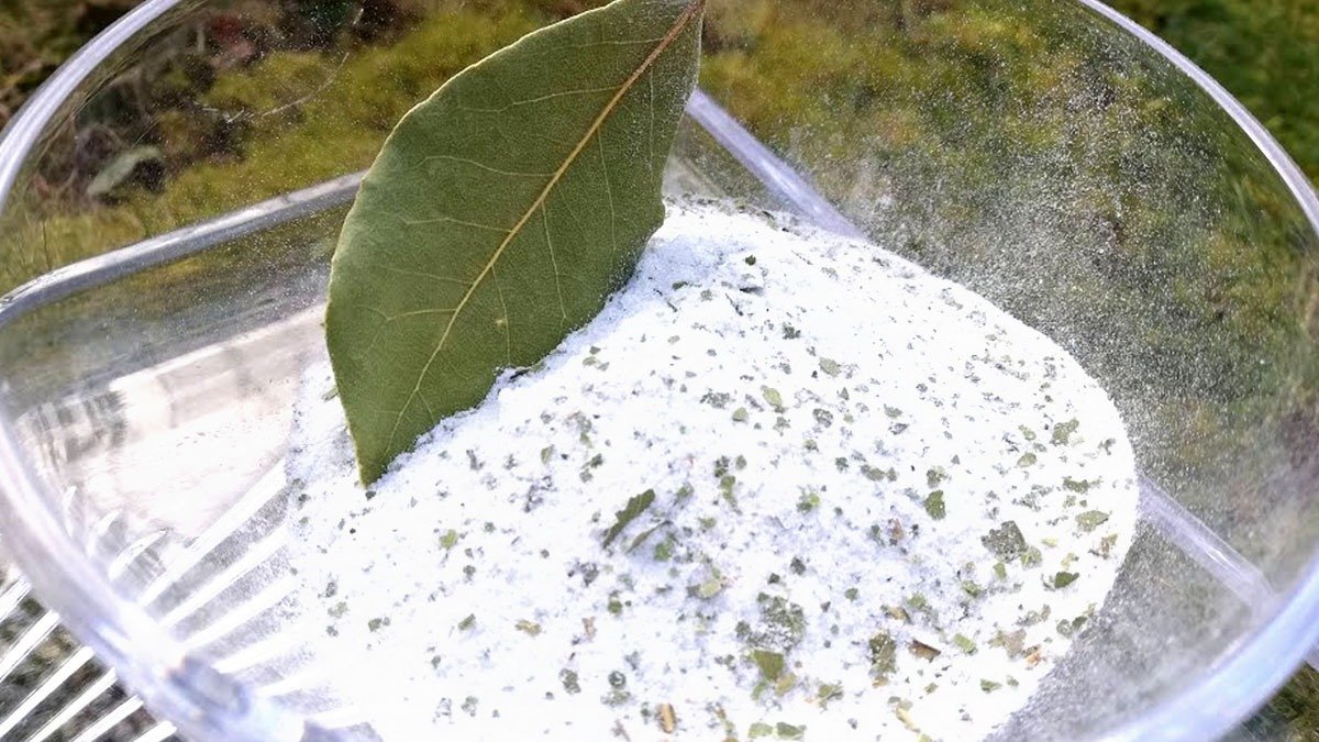 Míchání bobkového listu a jedlé sody: proč se doporučuje a k čemu slouží 2 Míchání bobkového listu a jedlé sody: proč se doporučuje a k čemu slouží