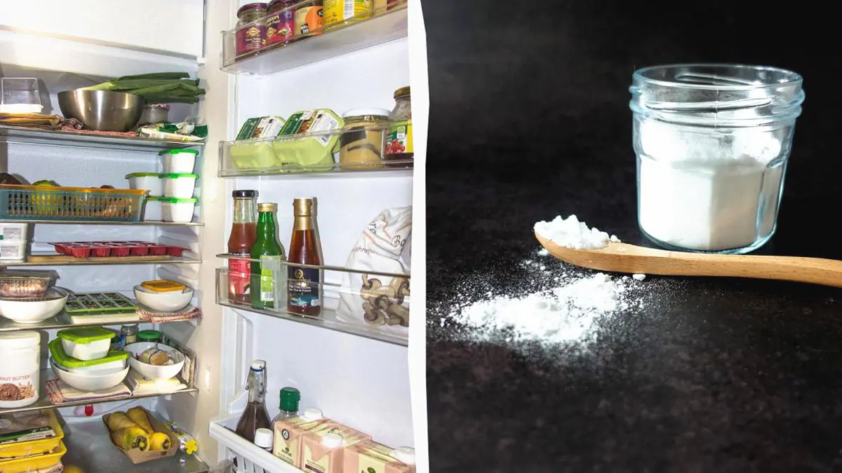 Jak odstranit zápach z lednice bez chemie: stačí jen 2 složky
