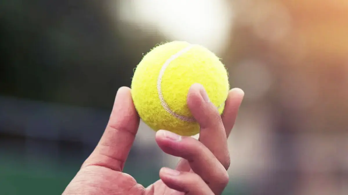 Malé gesto, které mění vše: proč umístění tenisových míčků na zahradě může tuto zimu pomoci zachránit ptáky a ježky 2 Malé gesto, které mění vše: proč umístění tenisových míčků na zahradě může tuto zimu pomoci zachránit ptáky a ježky