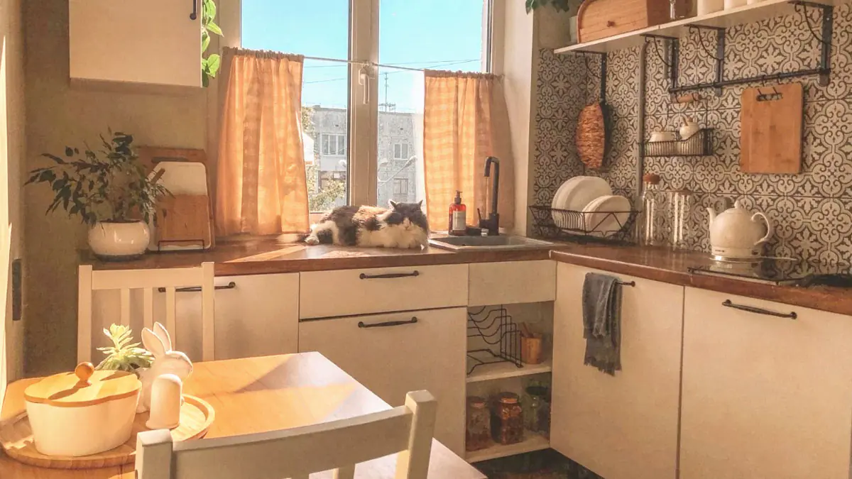 Nechutné a otravné: proč nechápu humbuk kolem otevřených kuchyní