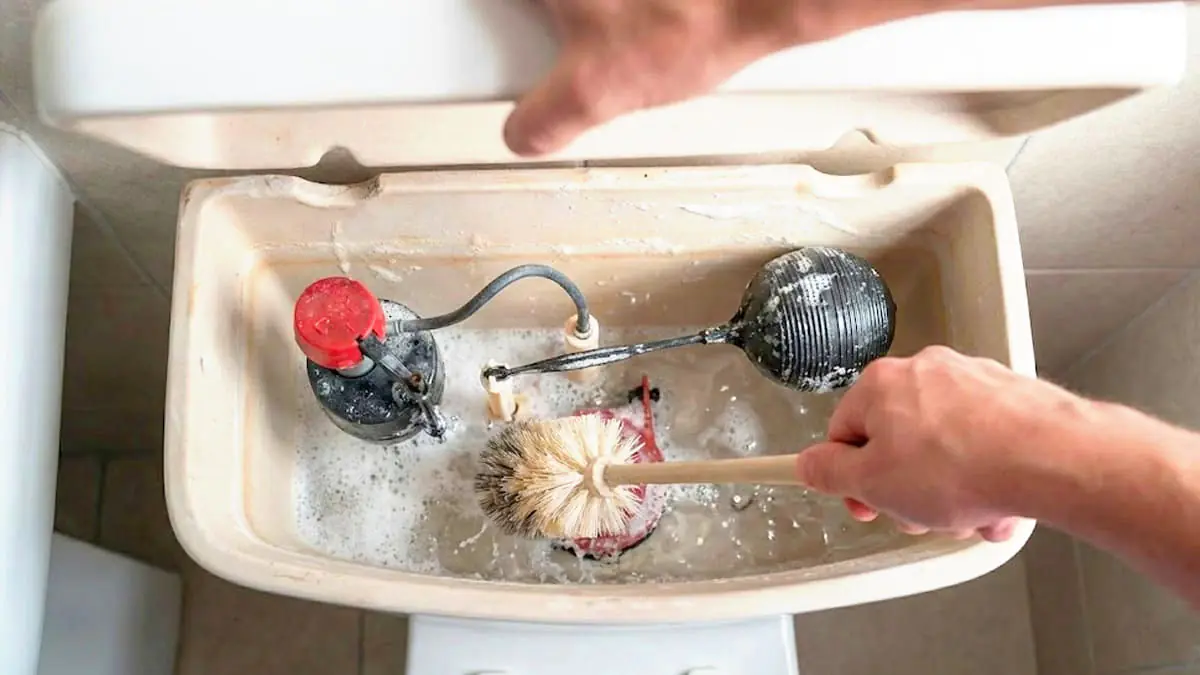 I po úklidu se v koupelně objevuje zápach: přidání „tohoto prášku“ do nádržky toalety vše vyřeší