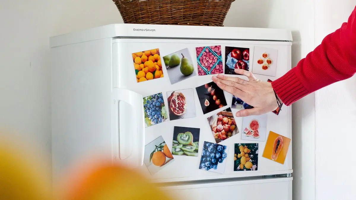 Jak magnety na lednici ovlivňují vaše účty za elektřinu 3 Jak magnety na lednici ovlivňují vaše účty za elektřinu