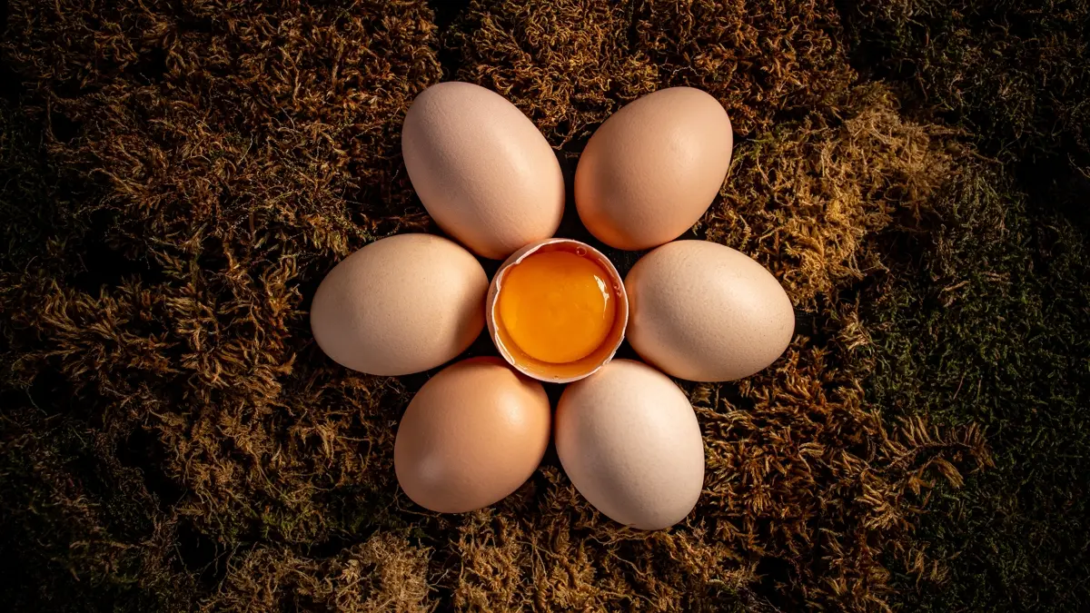 Farmářská versus obchodní vejce: výzkumy ukázaly, zda se vyplatí připlácet