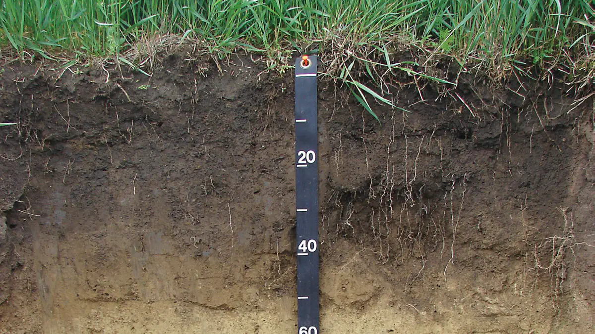 Pouhých 7 cm… a přesto to většina zahrádkářů odmítá přiznat