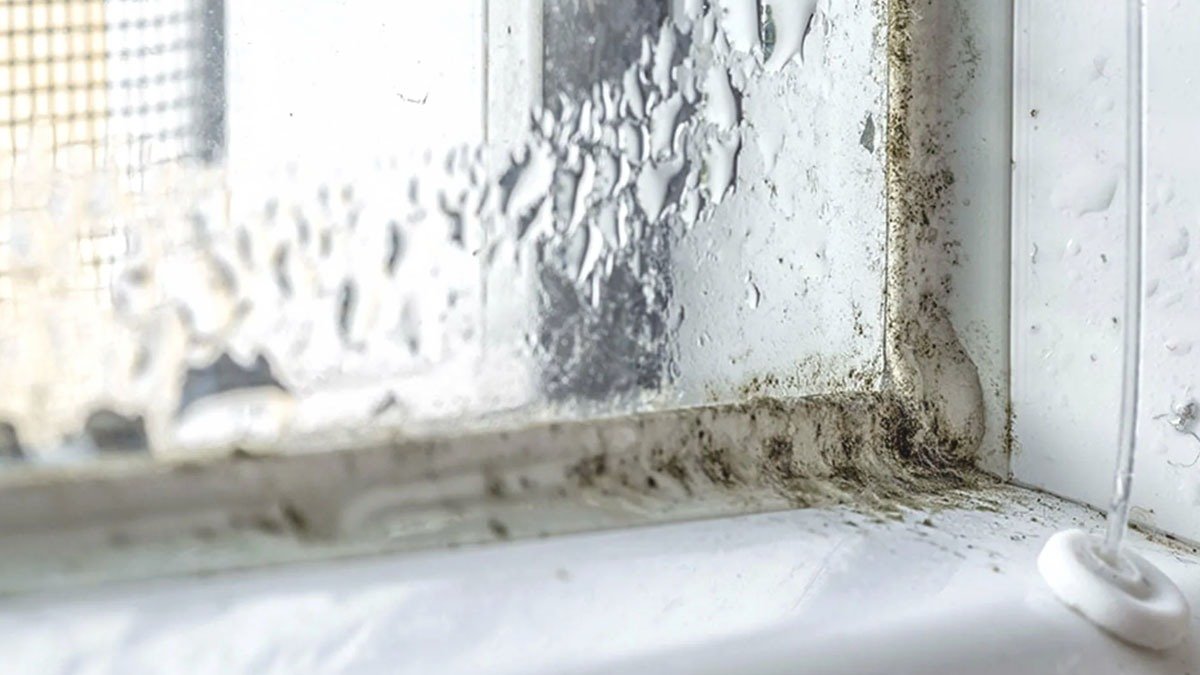 Nechte „tento předmět“ na okenním rámu doma a plíseň i kondenzace zmizí 3 Nechte „tento předmět“ na okenním rámu doma a plíseň i kondenzace zmizí