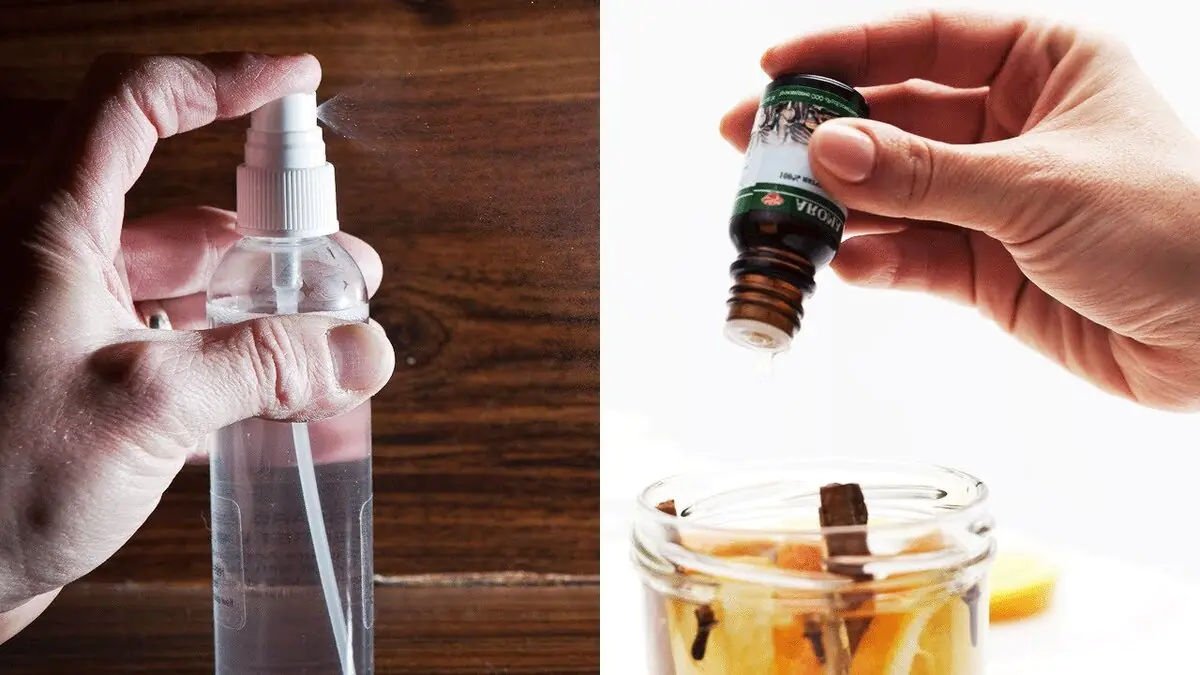 Proč kapat esenciální olej do toalety