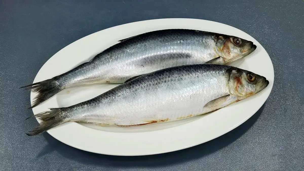 Sleď finských námořníků tak dobrý, že se to nedá popsat slovy dokonale jemná rybka za jeden den