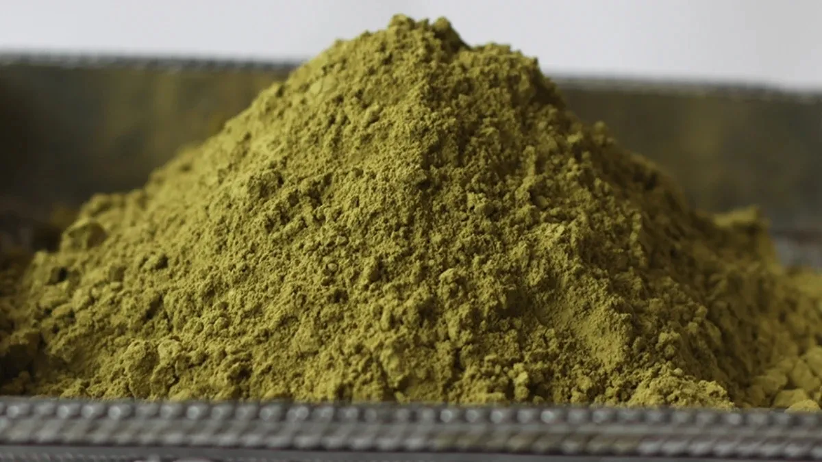 Niepozorná zelená pasta změnila moje vlasy Přirozený způsob pro krásnou barvu a silnější prameny