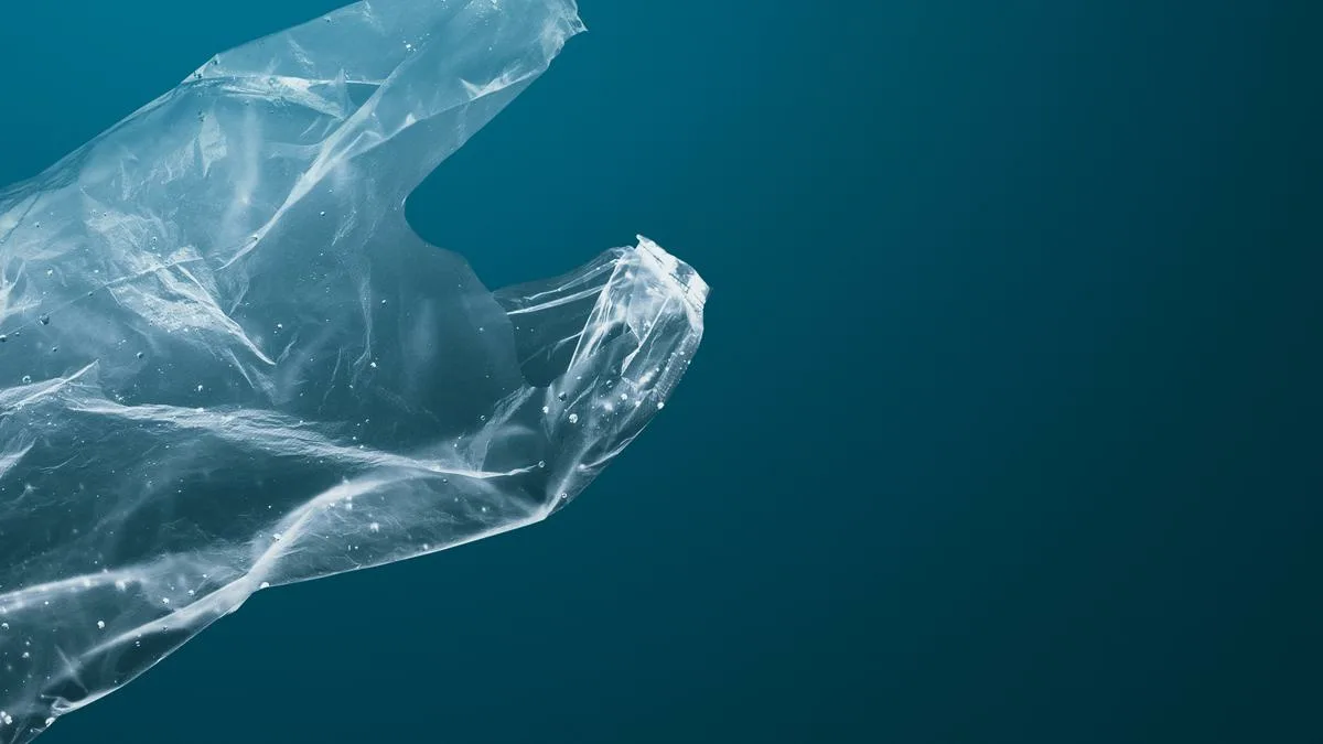 Pokaždé používáme sáčky a myslíme si, že jsou všechny stejné… zkontrolovali jste „ta čtyři písmena“ na zadní straně obalu?