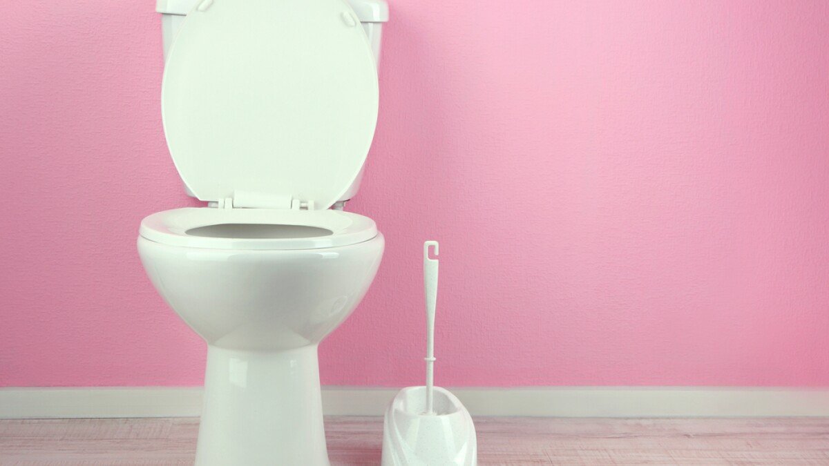 Než přijdou hosté, nalijte to do toalety: za pár minut bude v koupelně citelně svěžeji