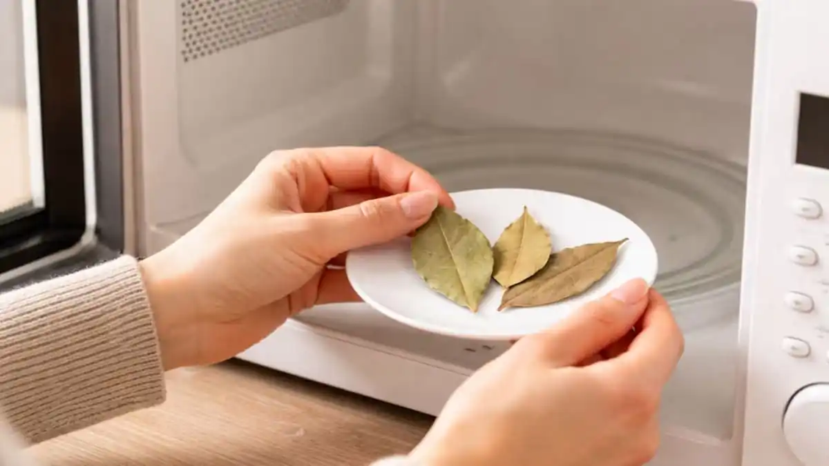 Položit několik bobkových listů do mikrovlnné trouby proč je to užitečné a jak často to dělat
