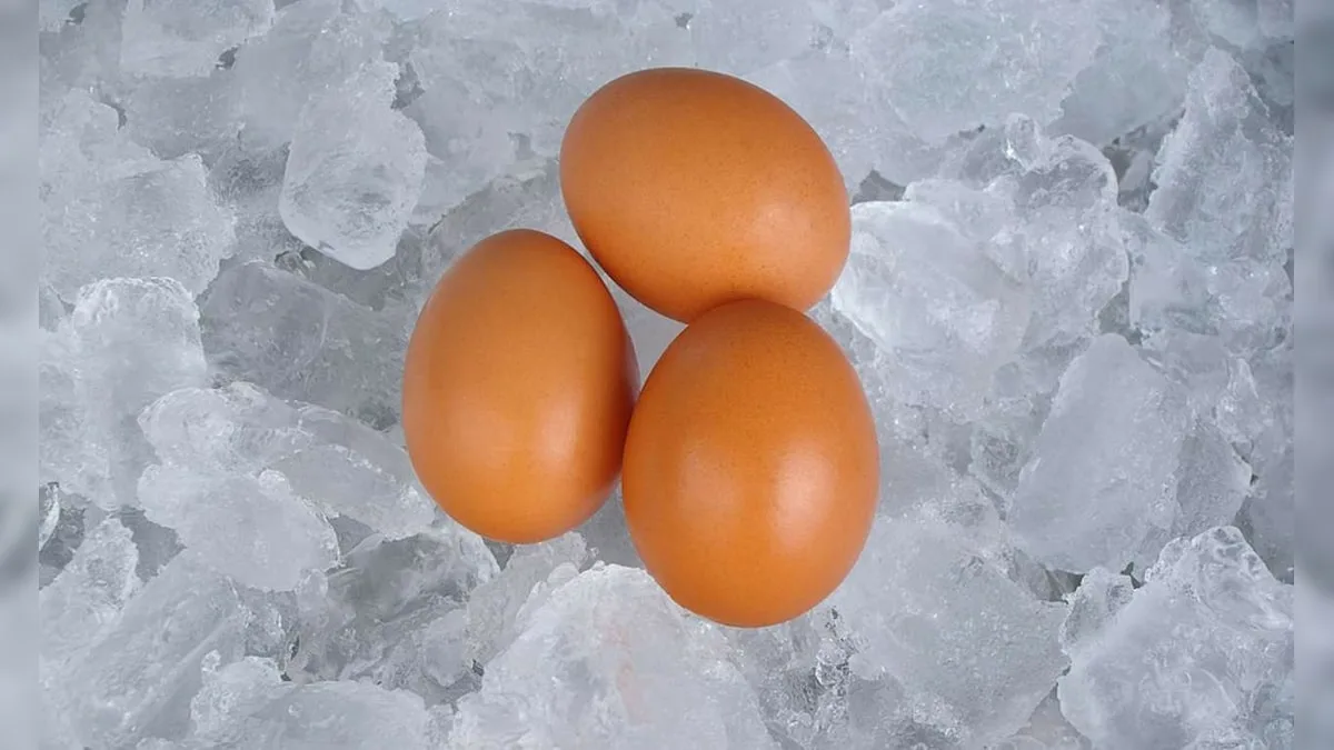 Potraviny, které lze zamrazit vejce, mléko, rýže a brambory