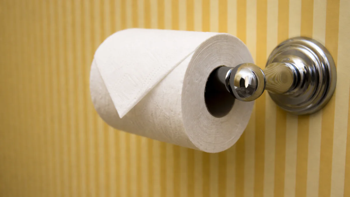 Proč je lepší se v hotelích vyhnout přeloženému toaletnímu papíru
