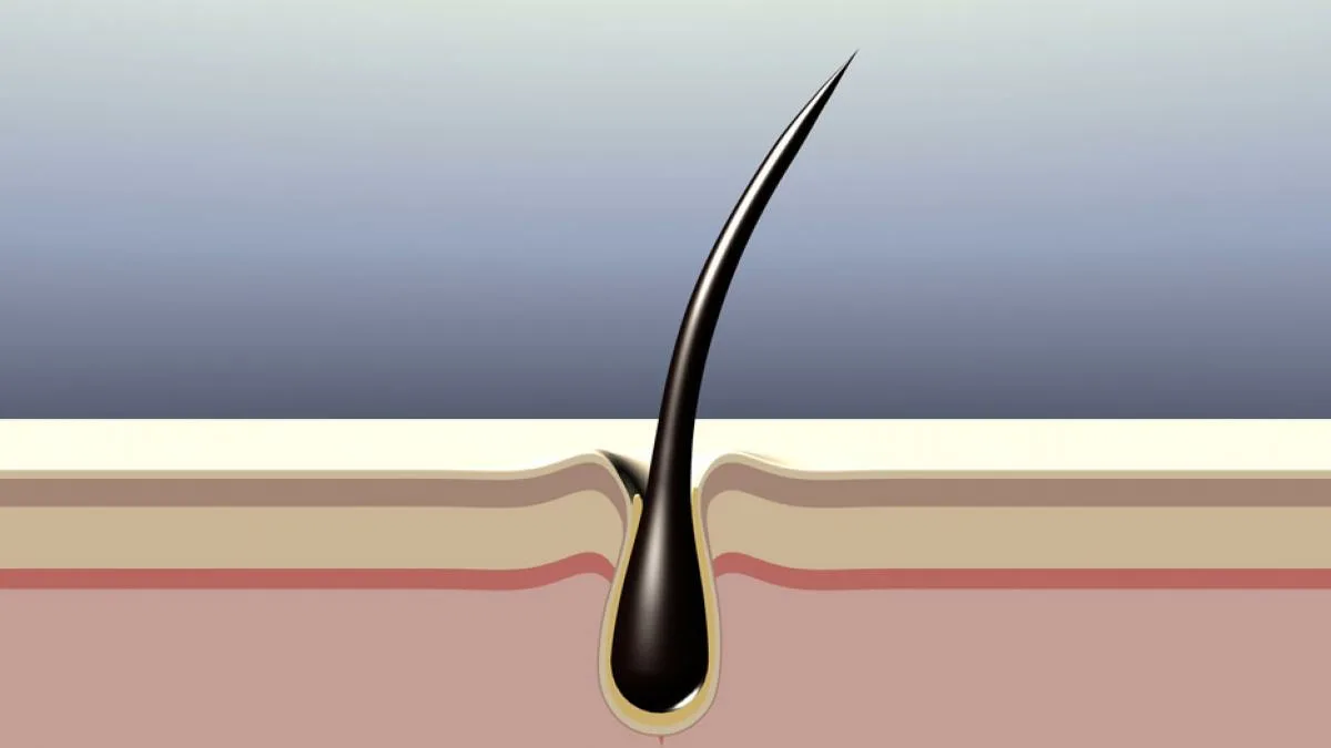 Rostou vlasy rychleji, když se stříhají