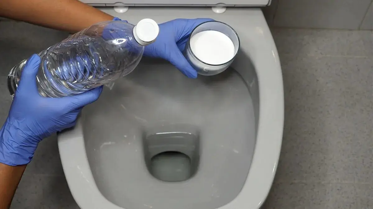 Než přijdou hosté, nalijte to do toalety: za pár minut bude v koupelně citelně svěžeji