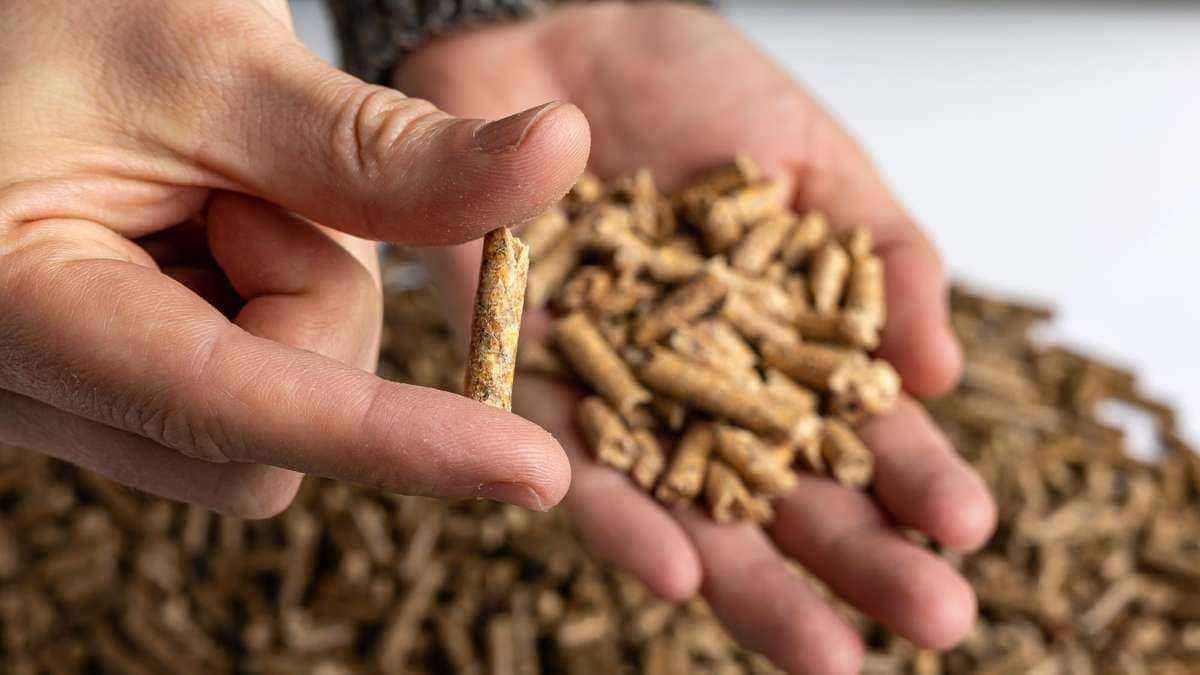 Pelety už nejsou „stabilní“: co se stalo v zimě 2025–2026