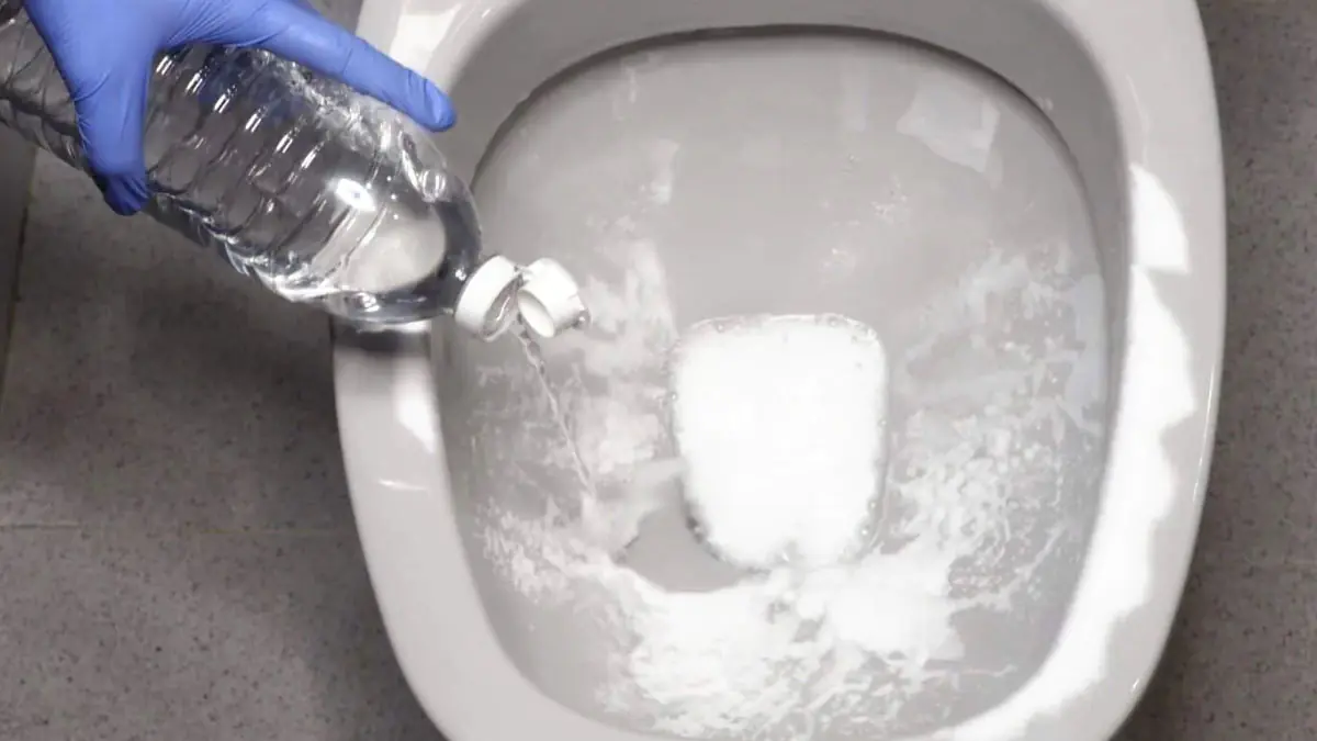 Čistá toaleta: domácí prostředek pomůže proti zažloutlému WC sedátku