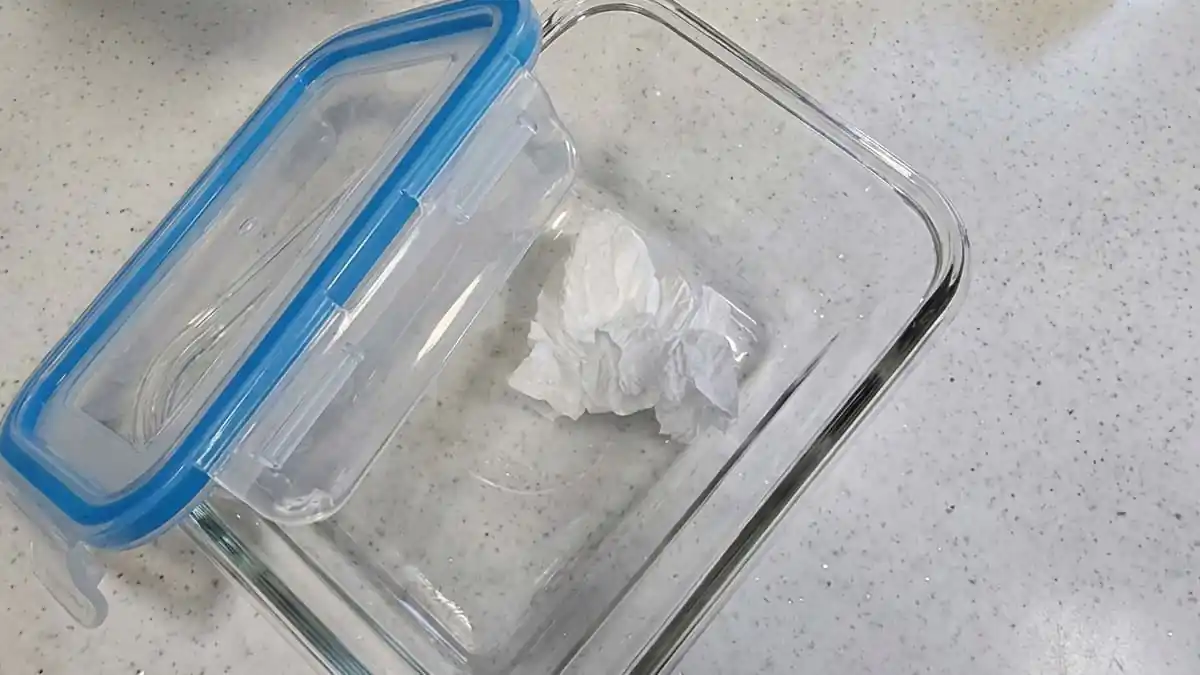 Jak ho neumývejte — dóza stejně zapáchá: vložte dovnitř „tenhle jeden list“… a už za den zmizí i česnekový zápach