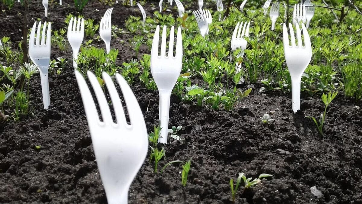 Zkušení zahrádkáři tvrdí, že to funguje zapíchněte plastové vidličky do půdy své zahrady